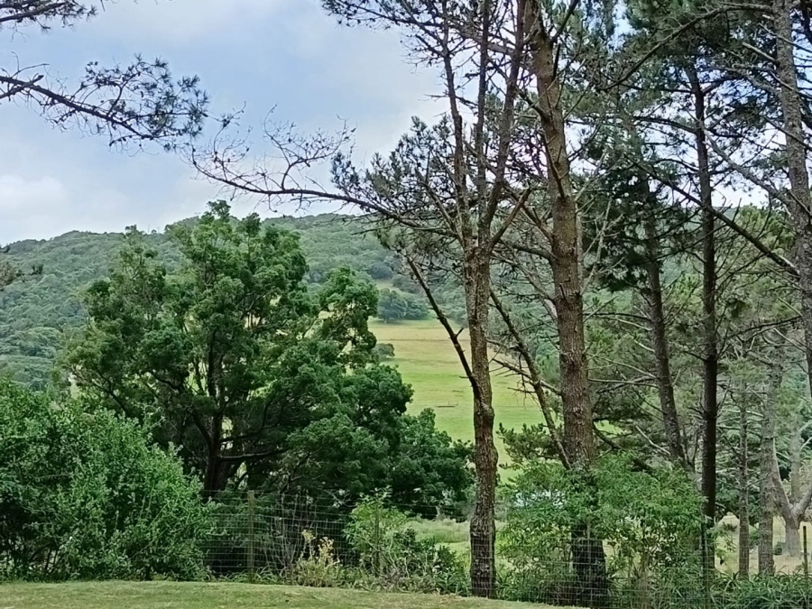 Commercial Property for Sale in Colleen Glen Eastern Cape